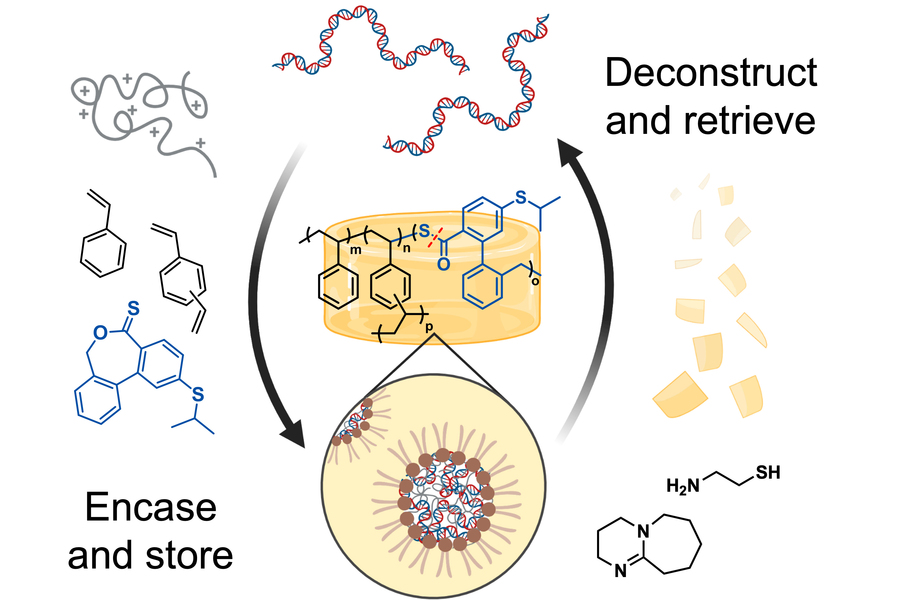 Diagram showing the “encase and store” inset with zoomed in polymer and “deconstruct and retrieve,” with individual DNA strands, phases of DNA storage